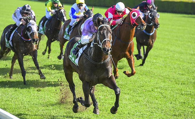 Horse Racing Aintree winning tips