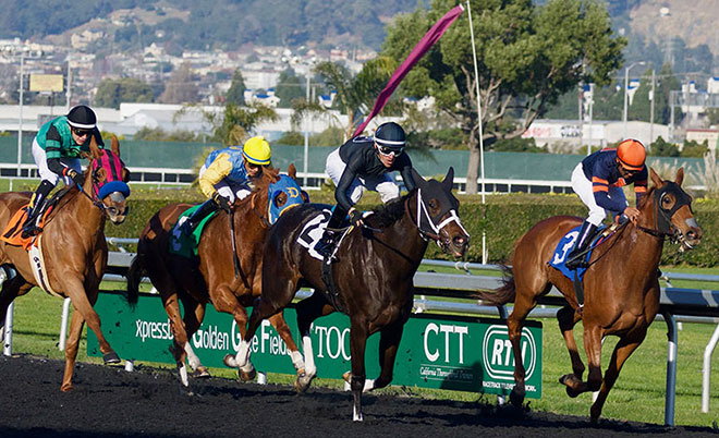 Horse Racing Kelso winning tips